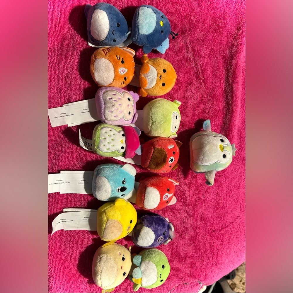 15 Micromallow Squishmallows